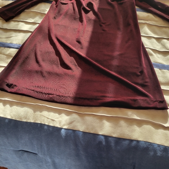 Betsey Johnson Velour Jeweled Neckline Dress in Burgundy - Picture 9 of 11